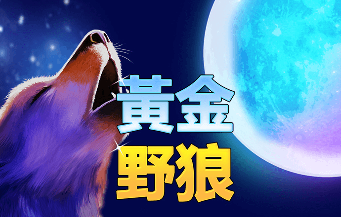美鞋测试